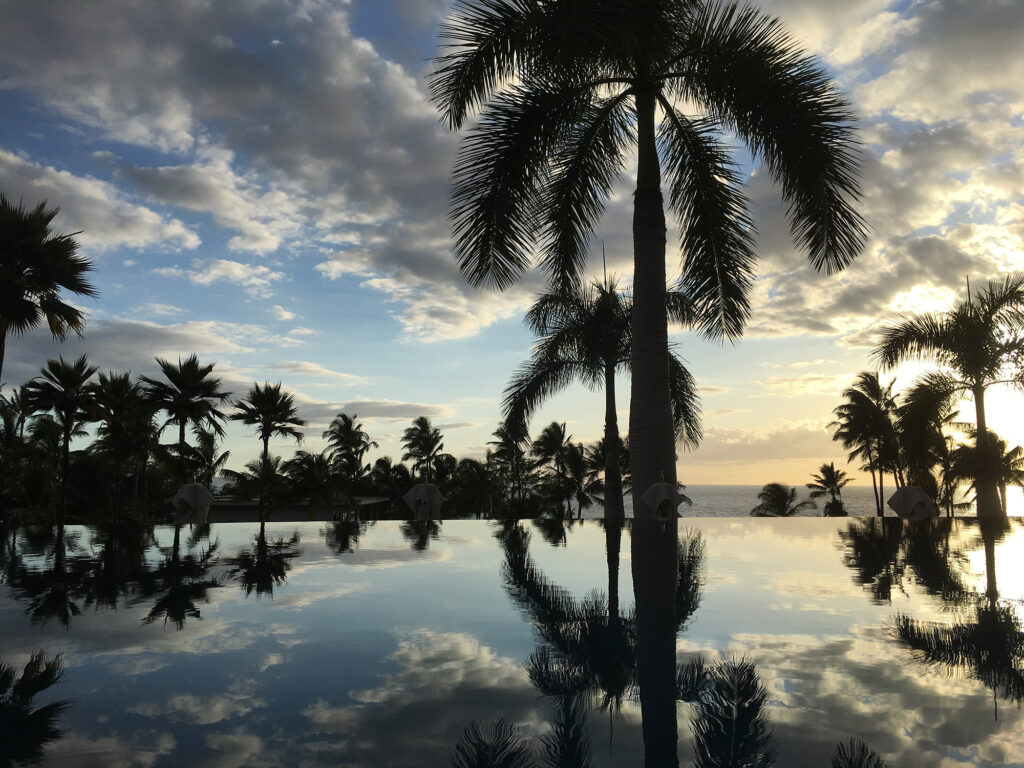 Edgar Award nominees for Best Novel Reviews and My Pick McX